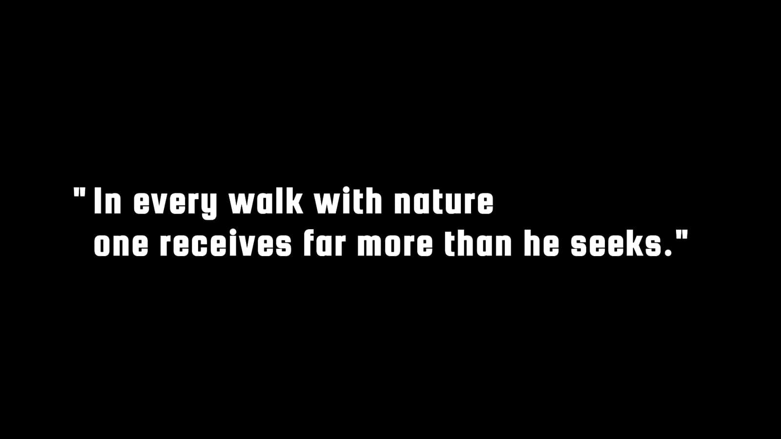 Proteus motion preview